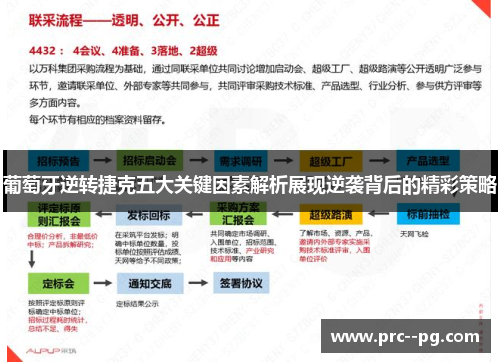 葡萄牙逆转捷克五大关键因素解析展现逆袭背后的精彩策略