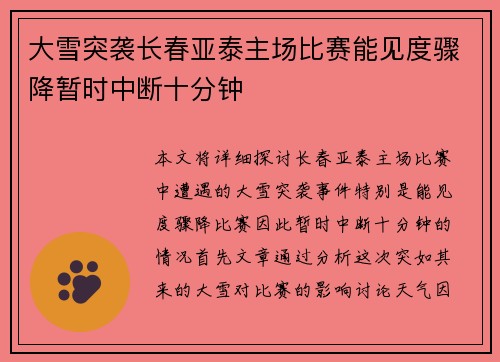 大雪突袭长春亚泰主场比赛能见度骤降暂时中断十分钟